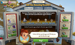 rooster coop guide booster chickens bottles feed 1st baby collection