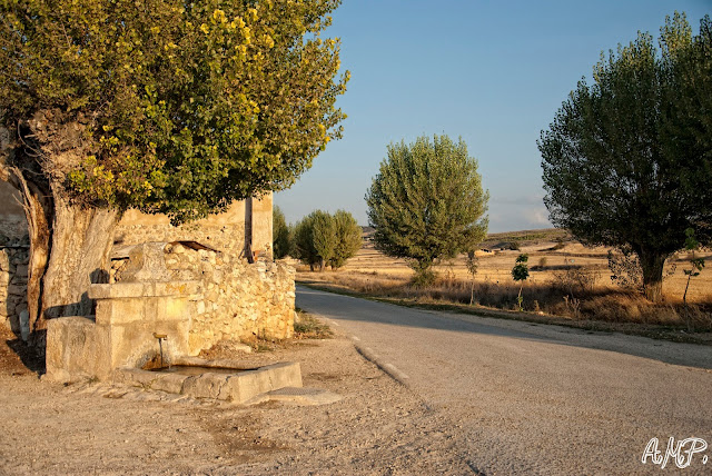 Pueblos del Oeste de Soria. Miño de San Esteban