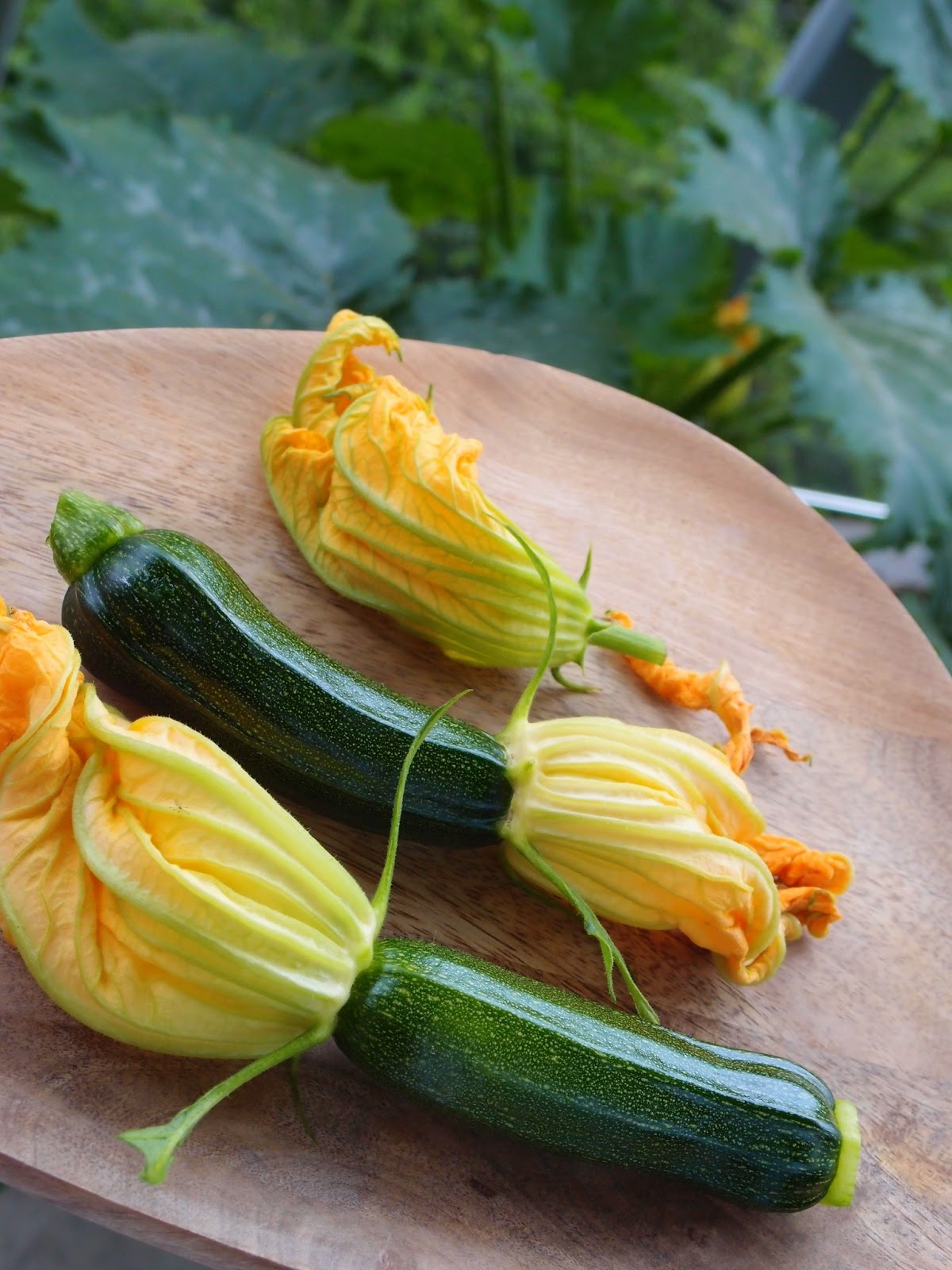 The VegHog Stuffed courgette flowers