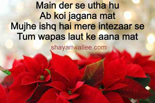 ishq shayari images in hindi