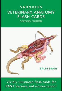 Veterinary Anatomy Flash Cards, 2nd Edition by SAUNDERS Veterinary Anatomy Flash Cards, 2nd Edition by SAUNDERS