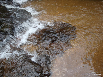 Thommankuthu Waterfall