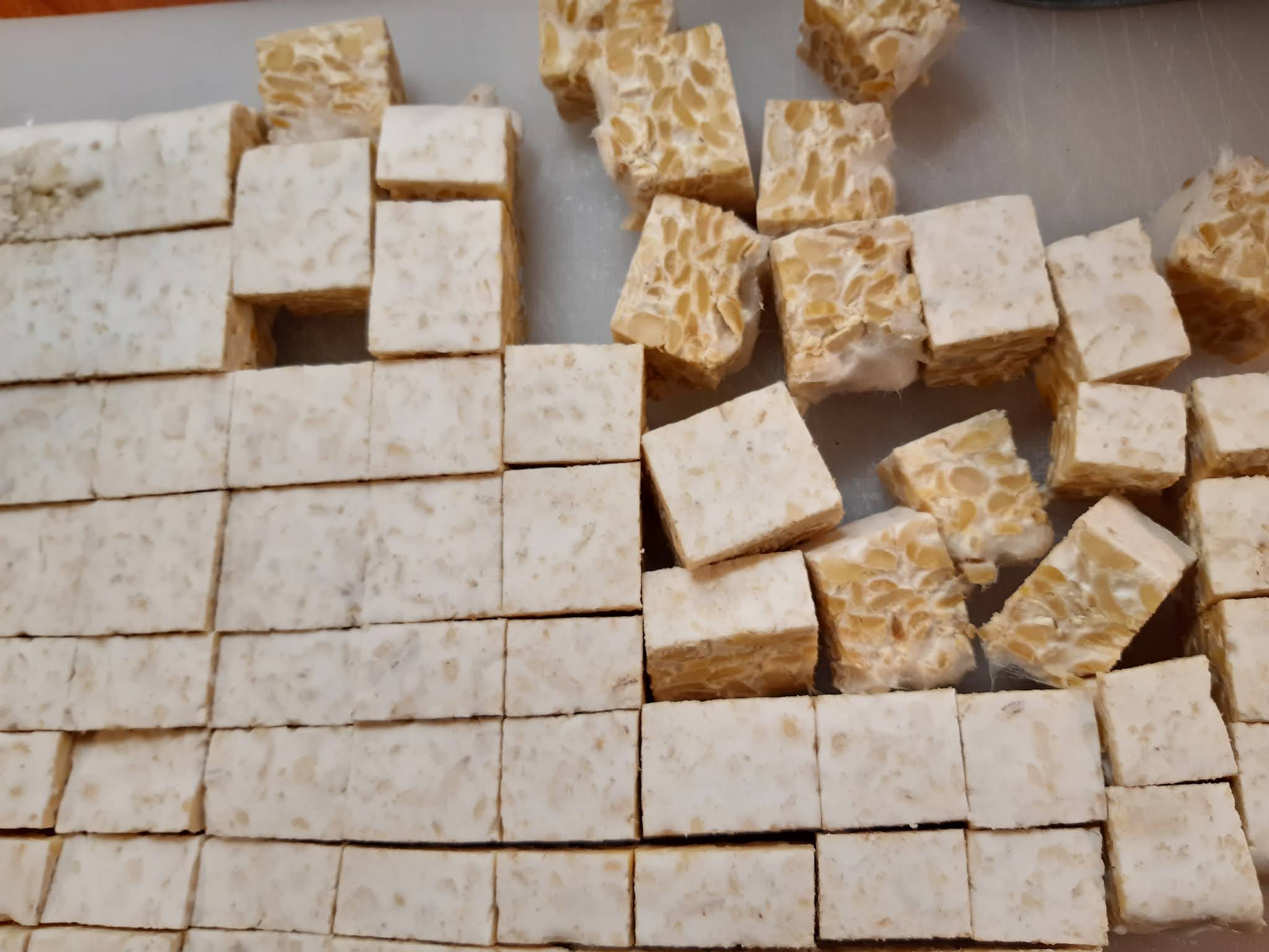 Tempeh in a Scanning Electron Microscope (SEM)