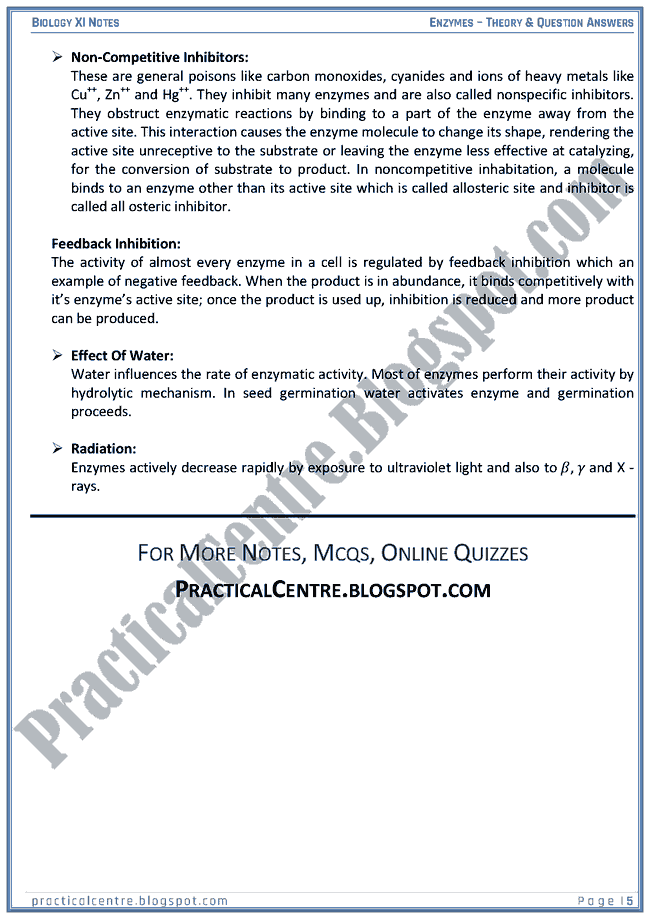 The Enzymes - Theory And Questions Answers - Biology XI