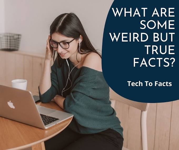 What are some weird but true facts?