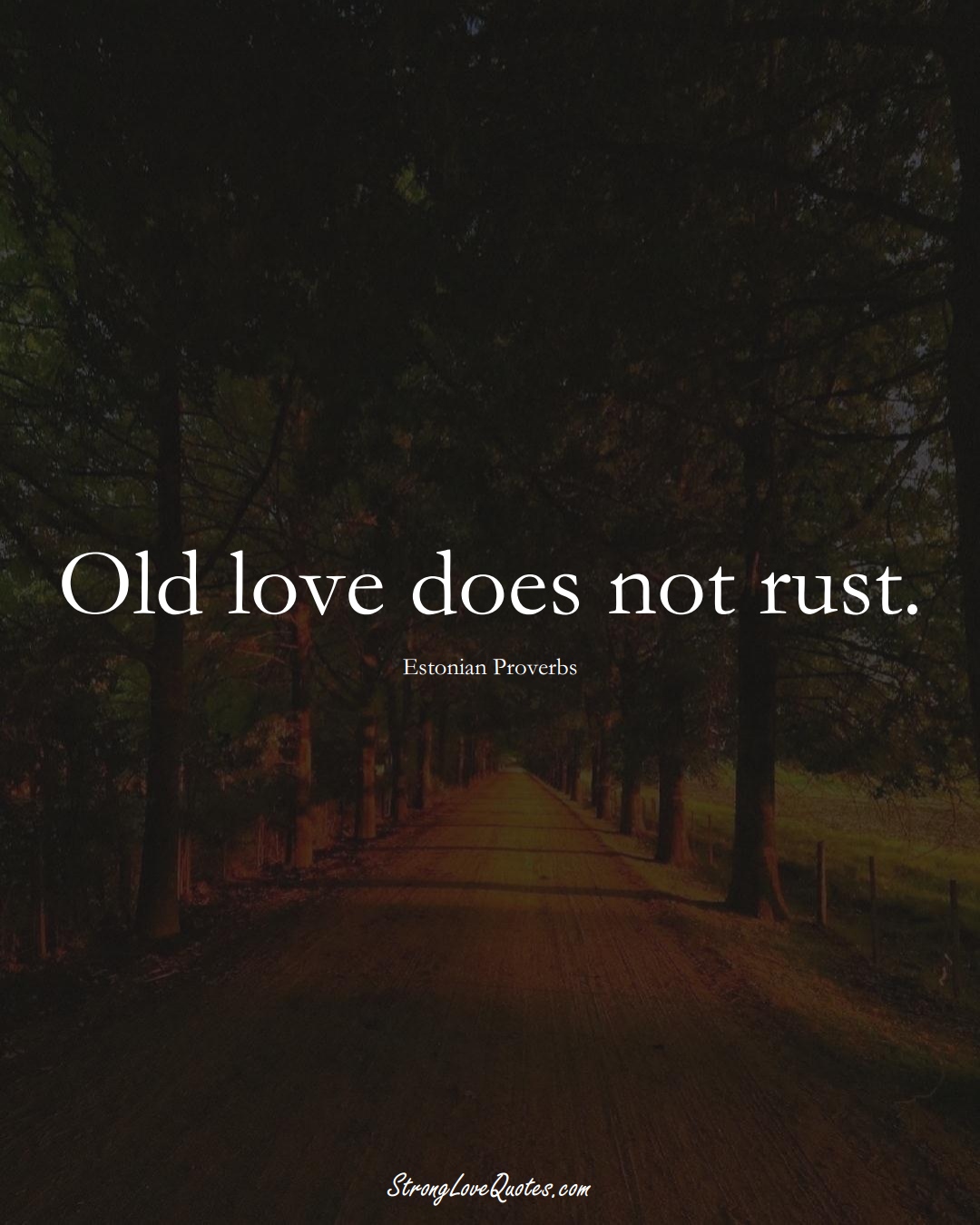 Old love does not rust. (Estonian Sayings);  #EuropeanSayings