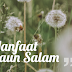 Manfaat Daun Salam