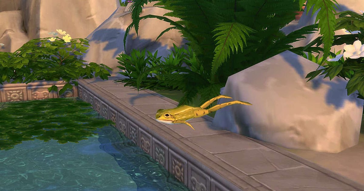 How to collect all frogs in The Sims 4