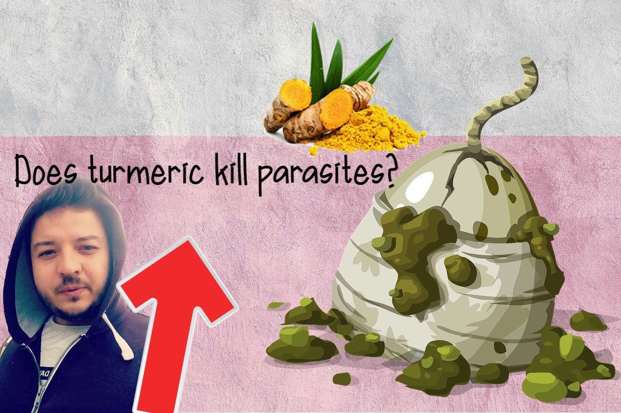 How To Use Turmeric For Worms?