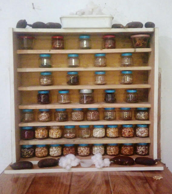 VIDA SIMPLES BANCO DE SEMENTES