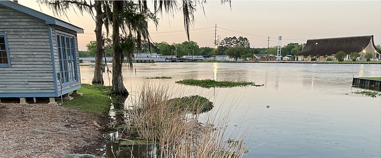 All Things Bayou Pigeon