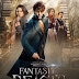 Fantastic Beasts and Where to Find Them 2016 Full Movie Hindi Dubbed  Watch Online