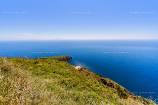 San Pancrazio Ischia, Piano Liguori, trekking Ischia, Percorsi Ischia, Ischia natura selvaggia, Colori mediterranei di Ischia, vegetazione tipica mediterranea, 