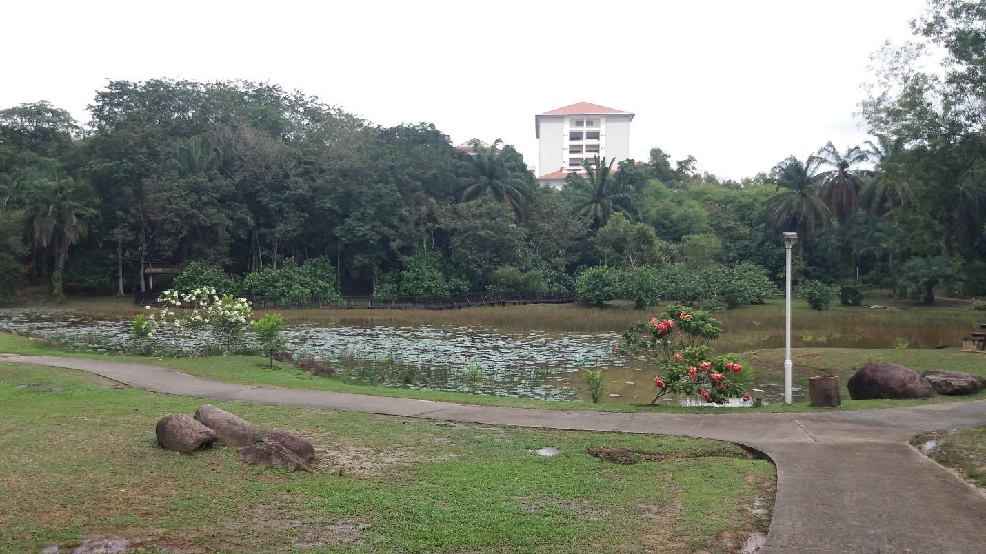 Taman Lembah Bukit Suk Shah Alam - TAMAN LEMBAH BUKIT SUK SHAH ALAM