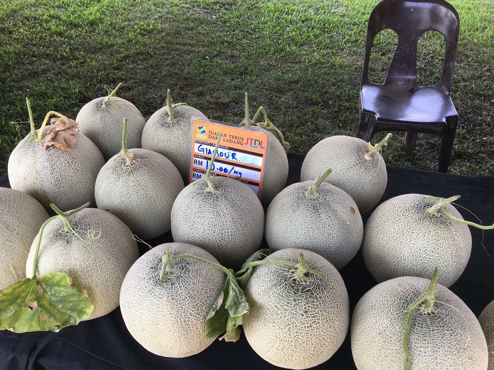 Agnes' Diary & More... Japanese Musk Melon