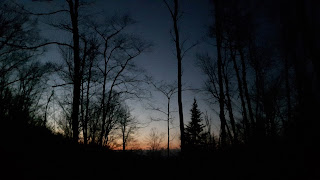 Forêt, coucher de soleil