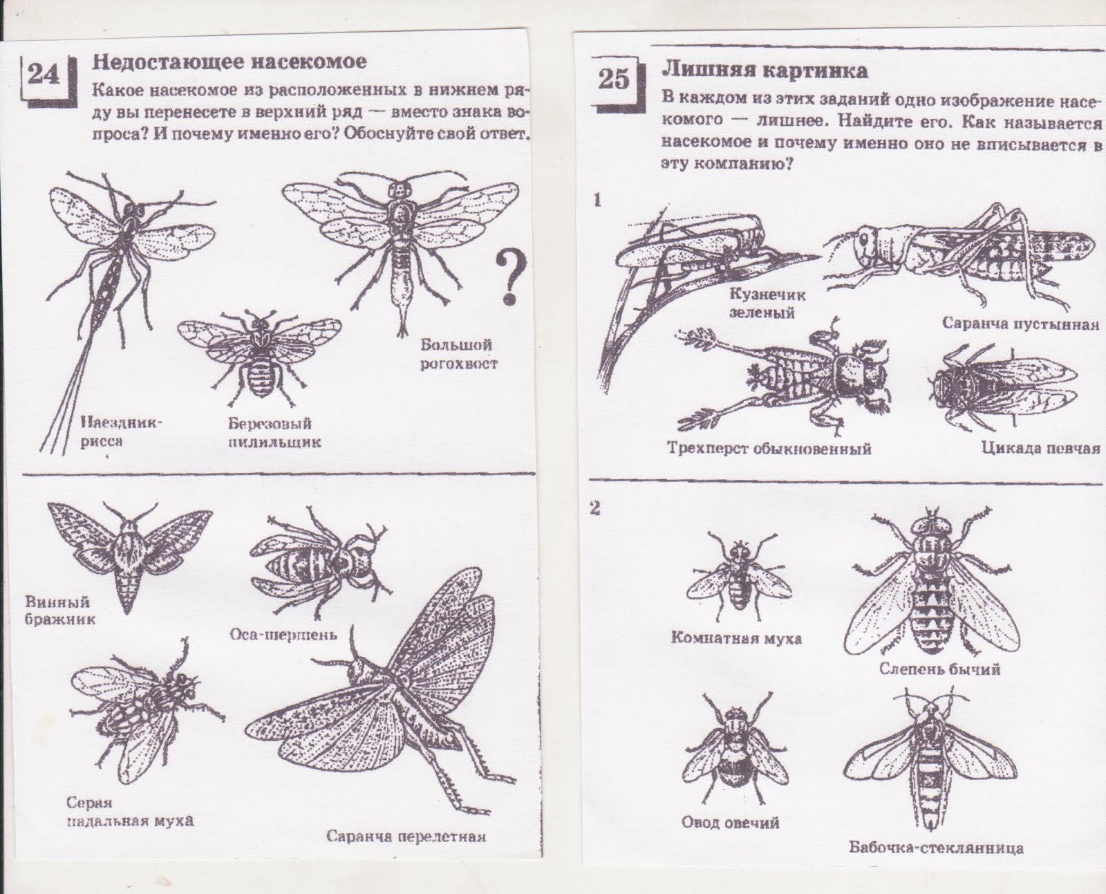 Биология тест класс насекомые