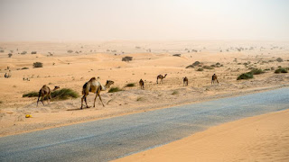 Mauritania