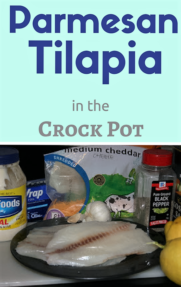 Foil Packet Tilapia CrockPot Recipe A Year of Slow Cooking