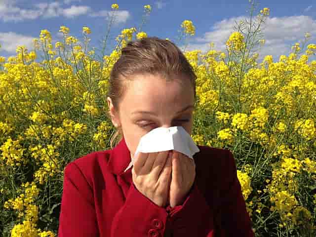 Mengenal Reaksi Alergi, Dari Penyebab Sampai Pengobatan