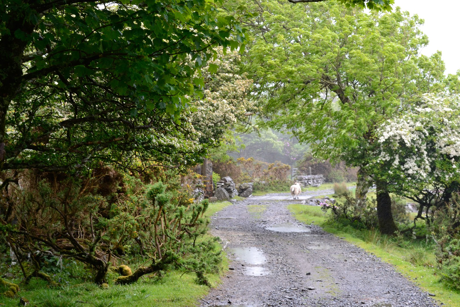 Lochbuie A Thin Place