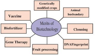 Class 10 merits of biotechnology chart Merits of biotechnology chart