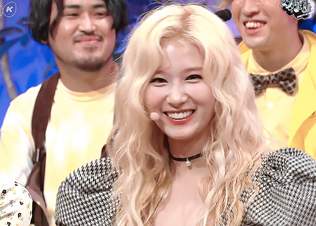 푸들미 가득한 사나