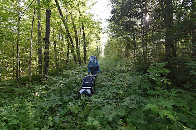 Come Walk With Us bushwhacking Trans Canada Trail.