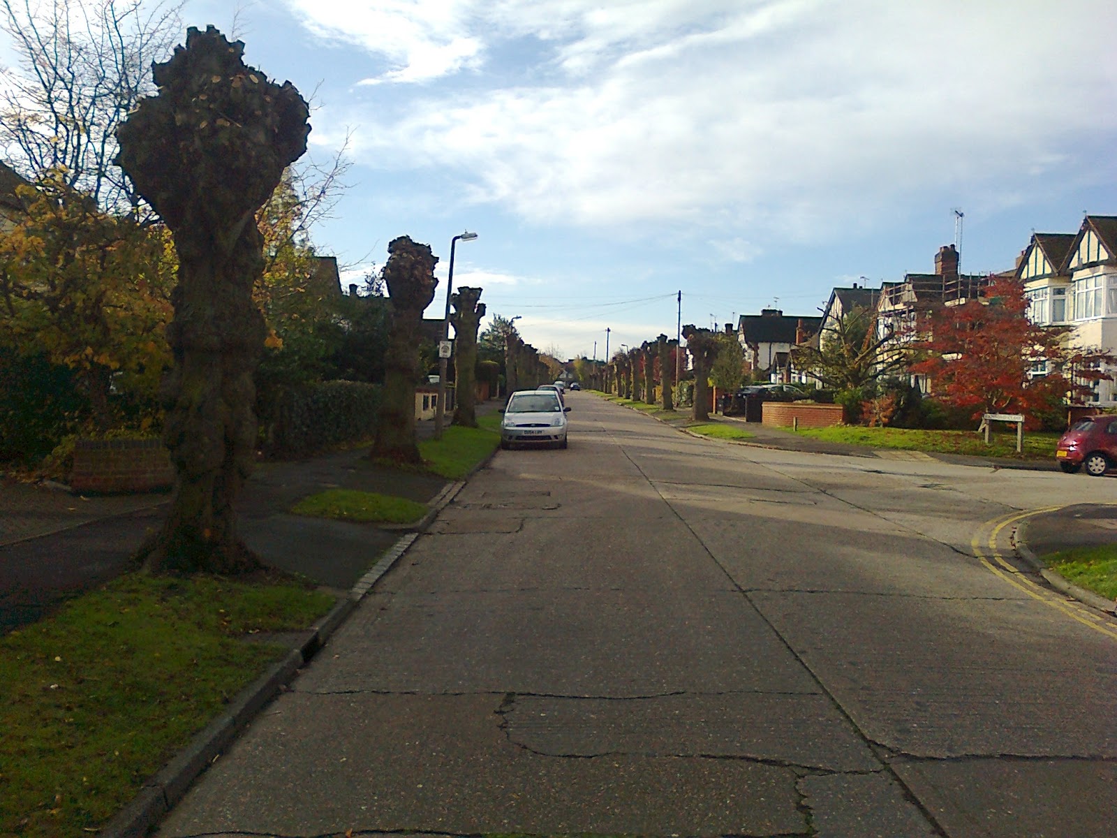 Great Baddow Autumn Scenes In Great Baddow