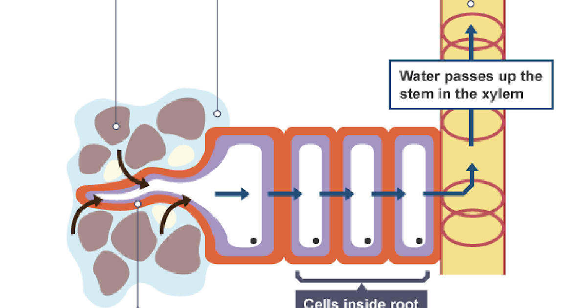 water in motion creates negative ions water in motion creates negative ions