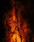 Australia fires: A visual guide to the bushfire crisis