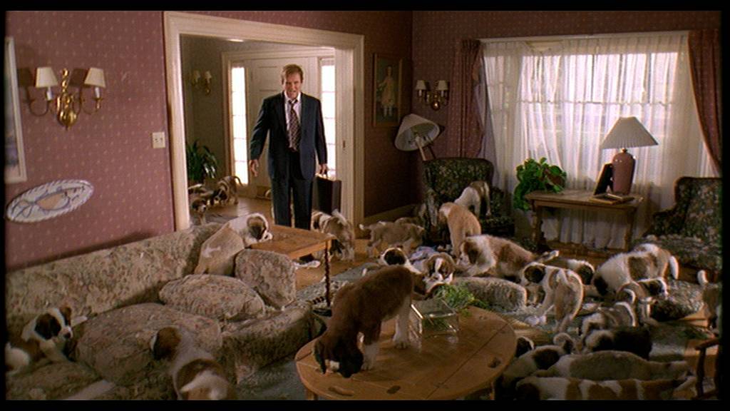 Важные аспекты оставления щенка на длительное время