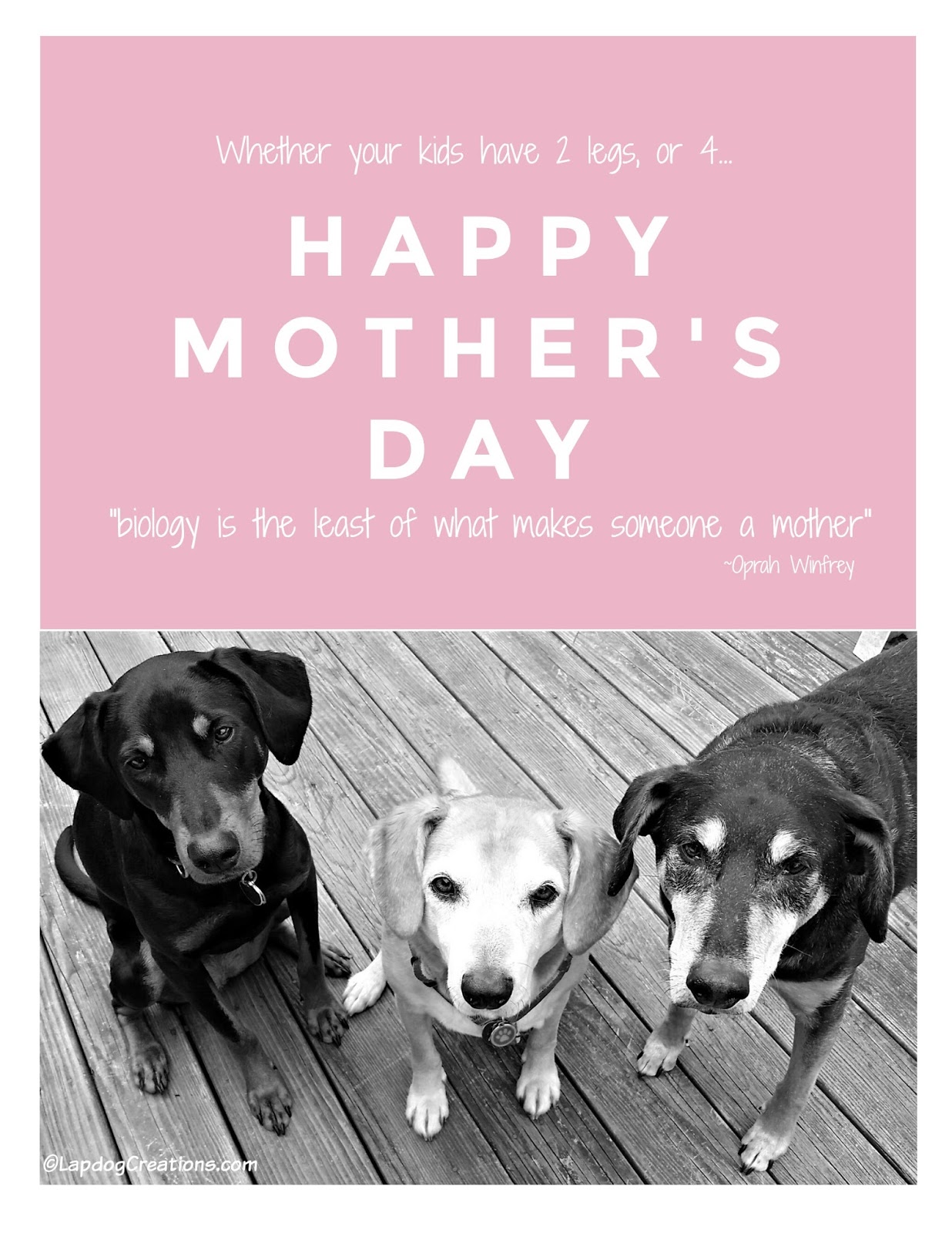 Lapdog Creations: Happy Mommy's Day #MothersDay