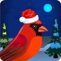 Games4escape Christmas Red Cardinal Escape