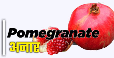 Pomegranate hindi 