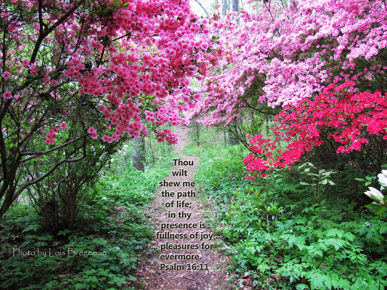 Azaleas - Psalm 16:11