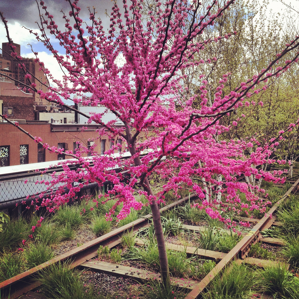 must HAVE inspiration Take a stroll in The High Line Park