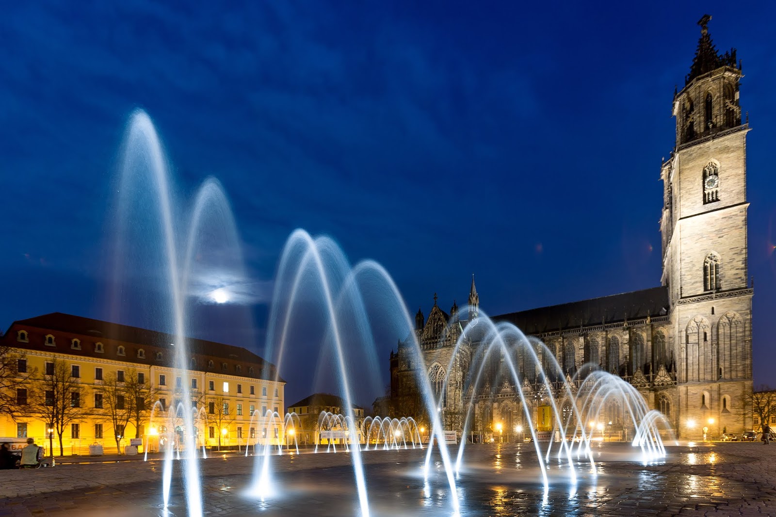 Aufstehen In Sachsen Anhalt 2019
