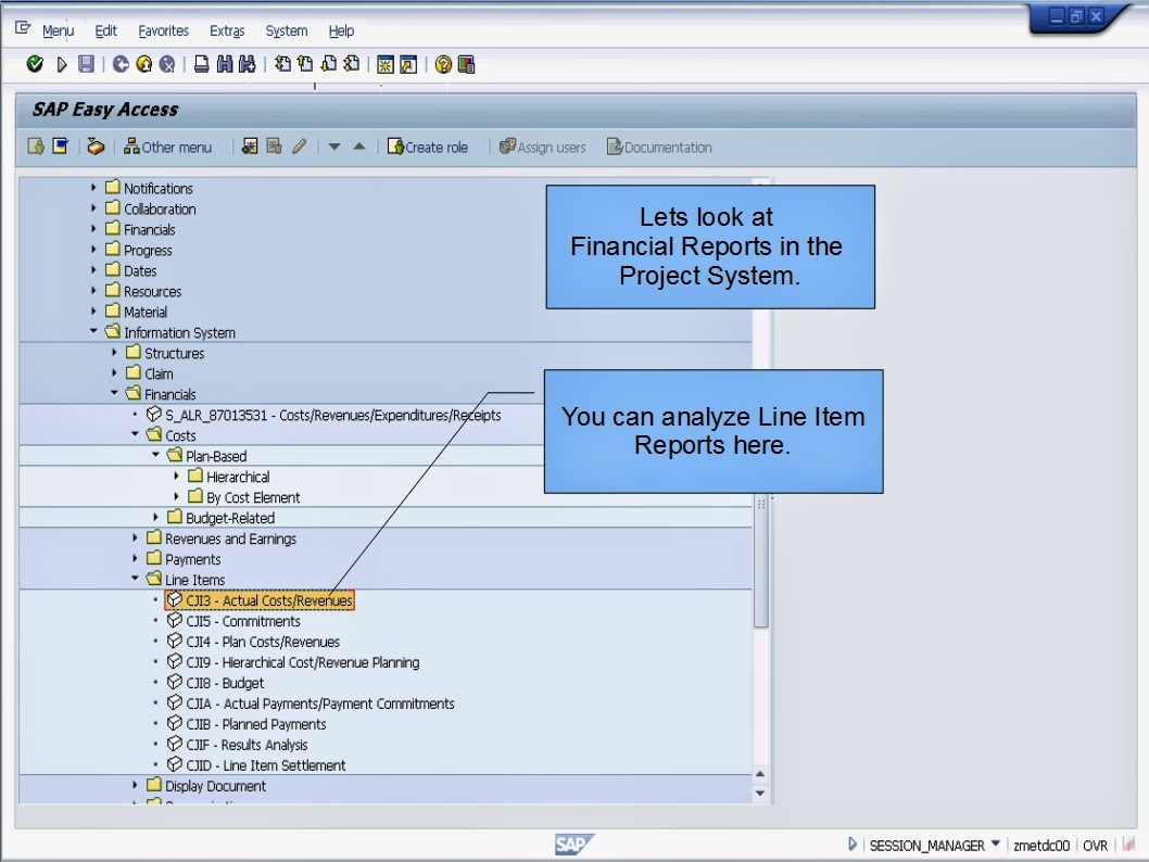 SAP Project System - Line Item Report