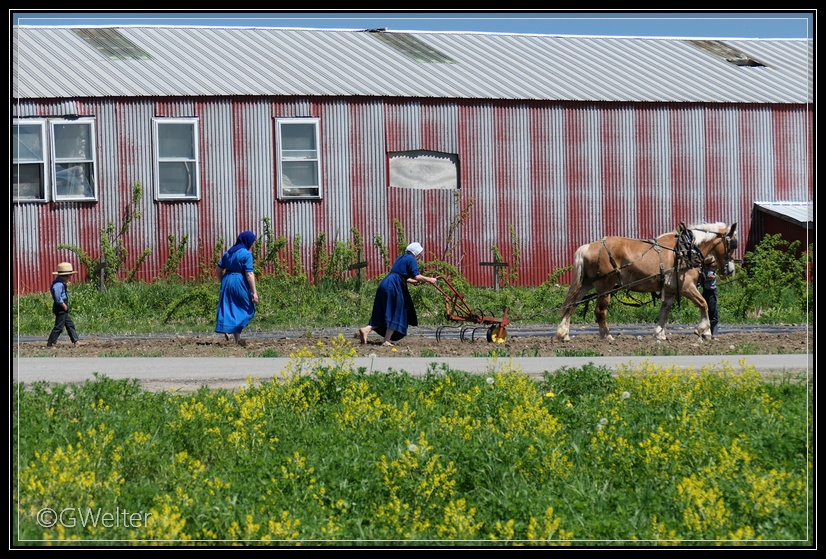 amish country tours from nyc
