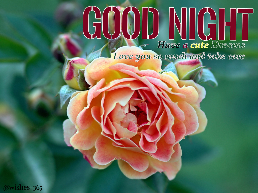 Poetry and Worldwide Wishes: Good Night Romantic Images for Lovers