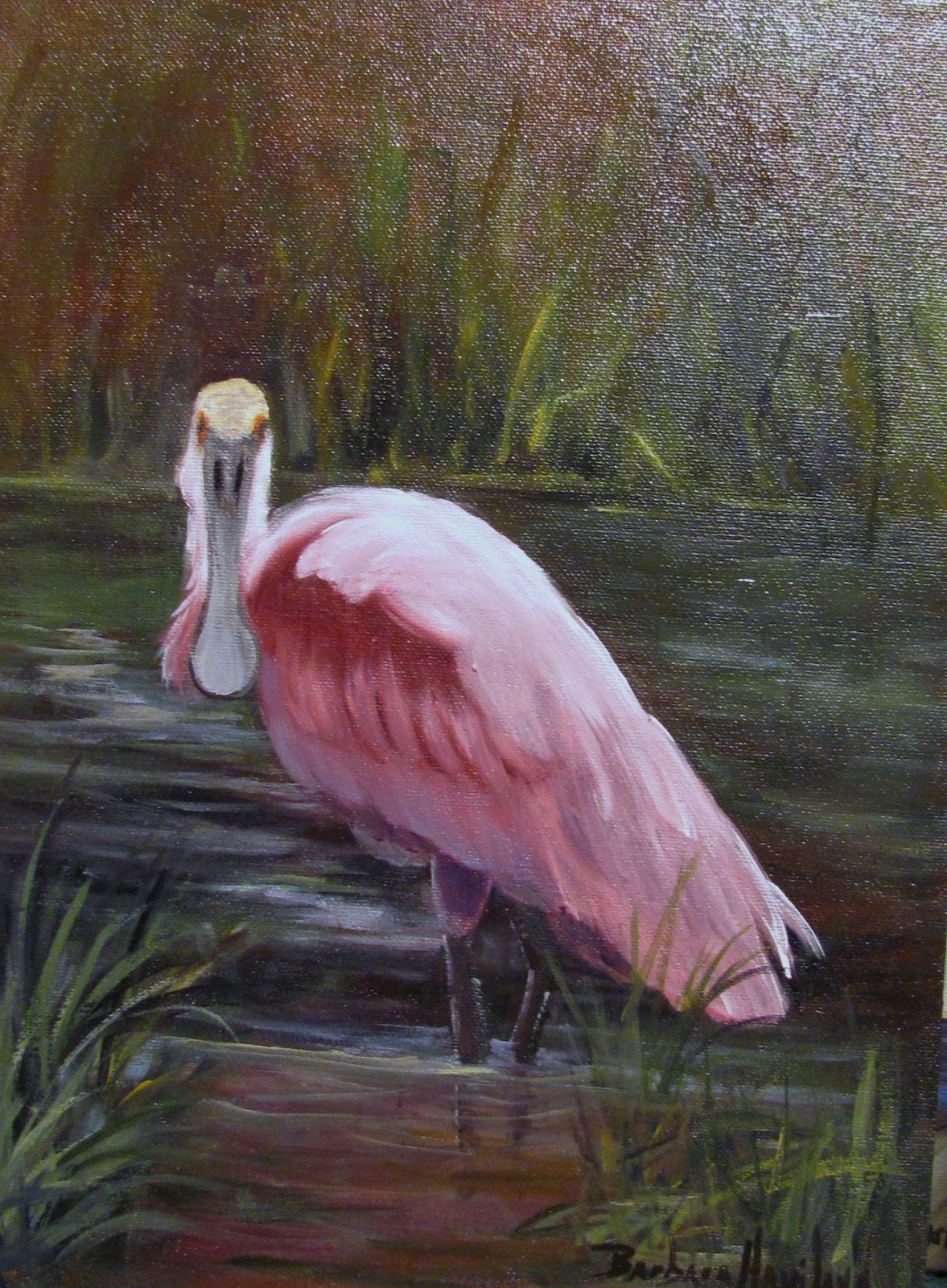 Artists Of Texas Contemporary Paintings and Art: Spoonbill Rosette