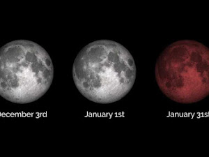 Melihat Secara Live Buat kamu yang melewatkan atau tidak memiliki kesempatan melihat gerhana bulan 