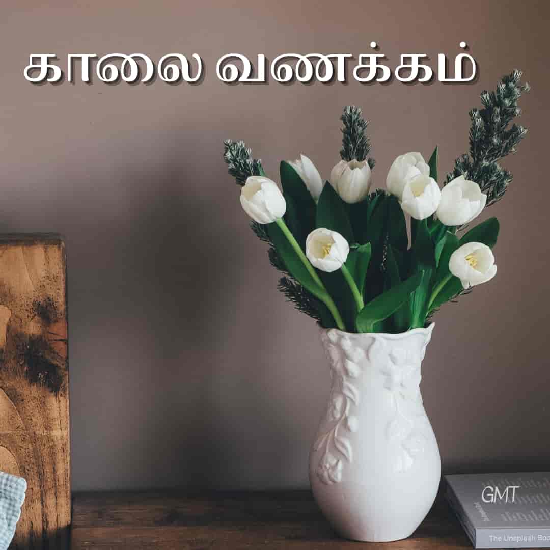 10+ good morning tamil messages images hd - 2022