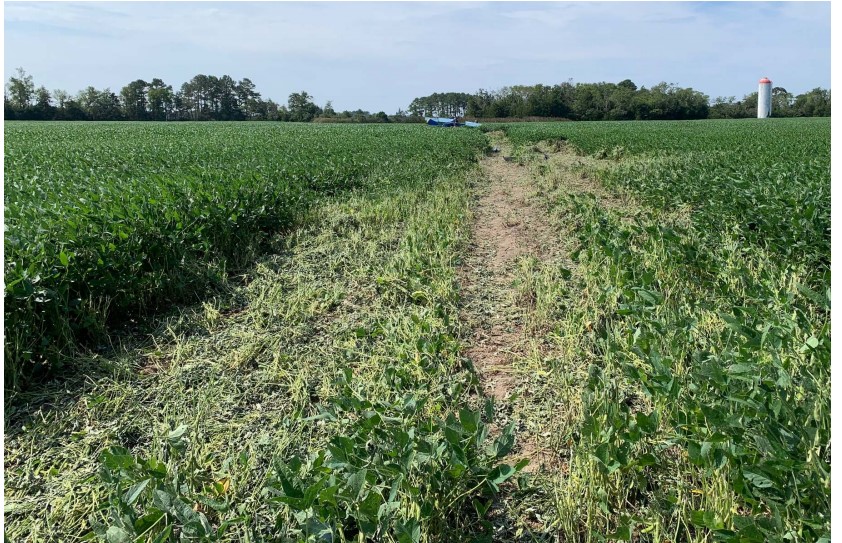 Kathryn's Report Controlled Flight Into Terrain Van's RV6A, N628JB