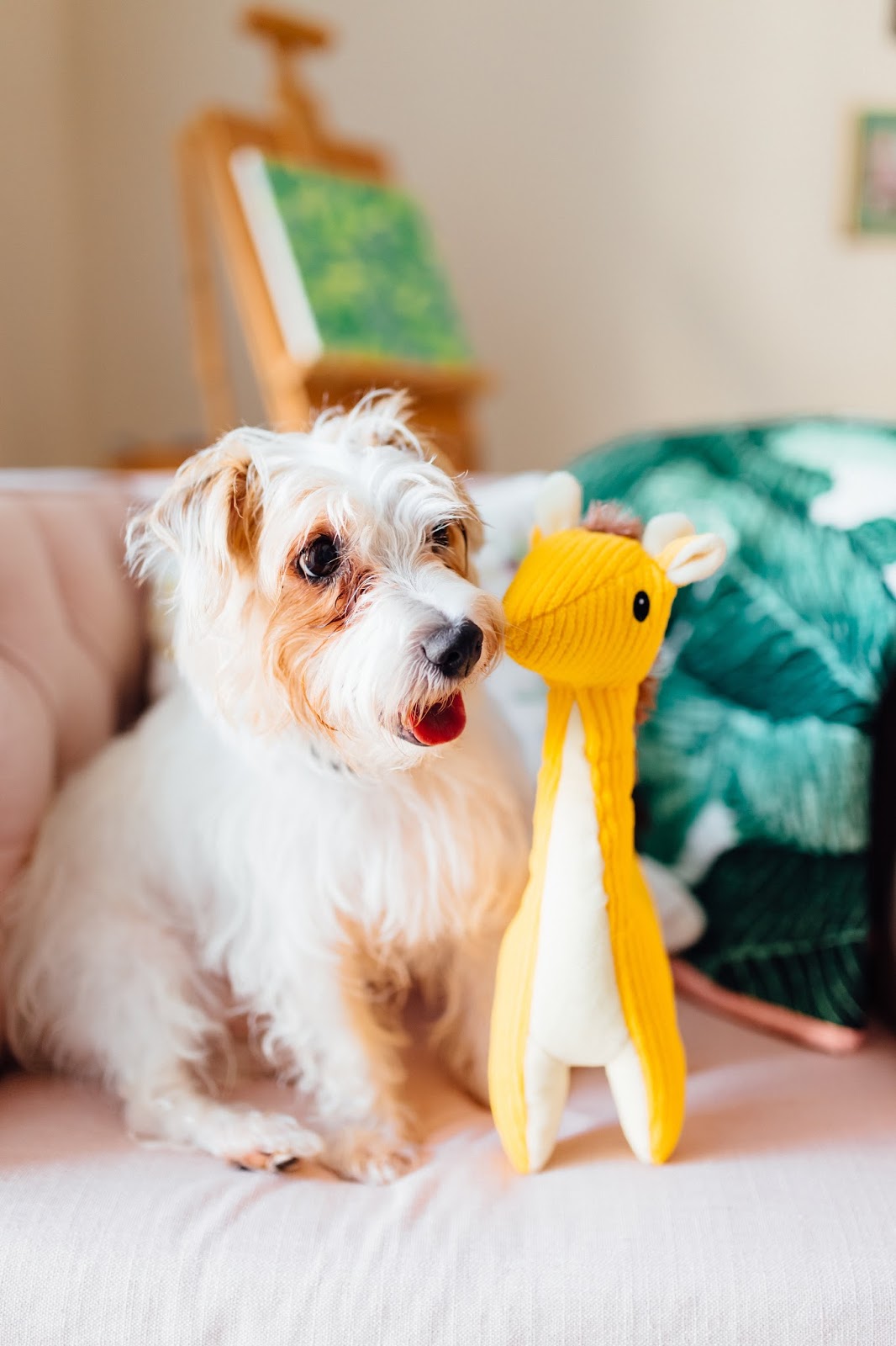 Apartment Tour Lucky Day