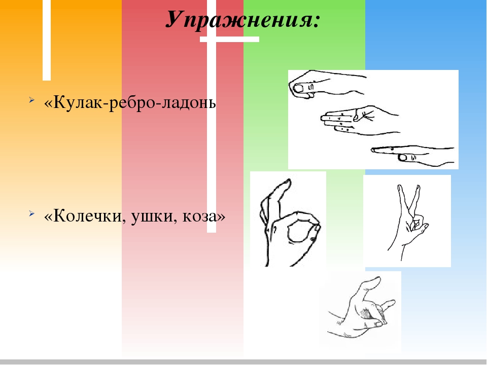 игра кулачки и ладошки. кулак ладонь для детей. ладонь кулак ты тоже можешь так. гимнастика для рук ладонь кулак. ладонь кулак ты тоже можешь так.