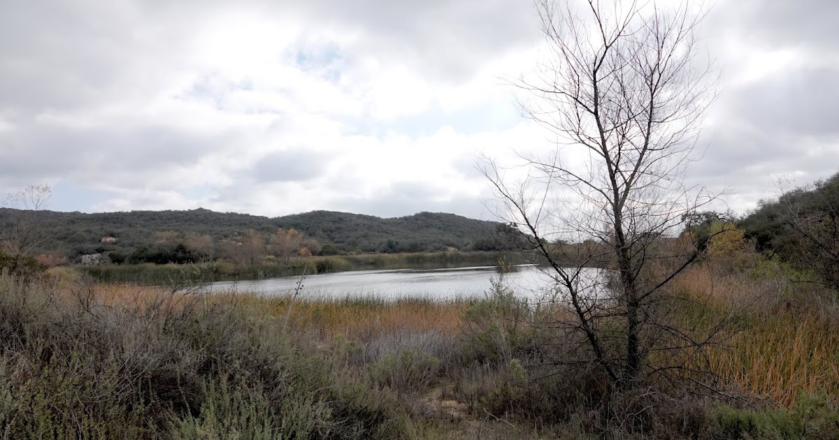 Looking for Lakes: Mallard