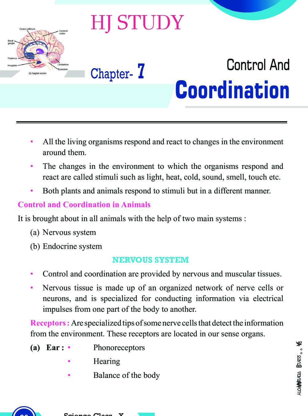 assignment on control and coordination class 10