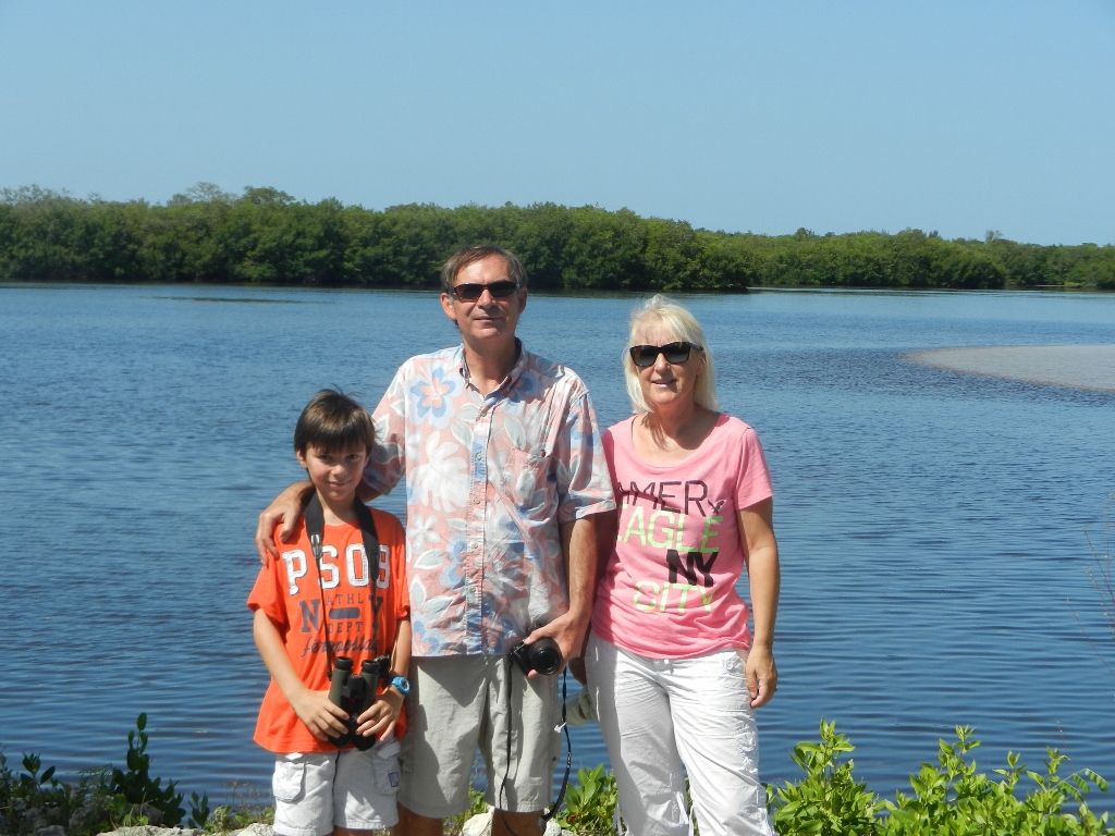 Ile de Sanibel Floride Alligator 